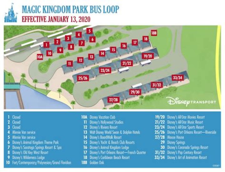Do Disney buses go directly to Magic Kingdom?