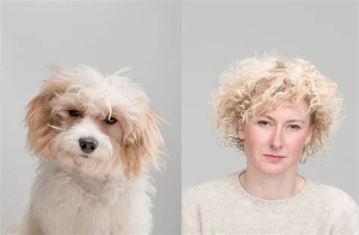 Do dogs like abusive owners?