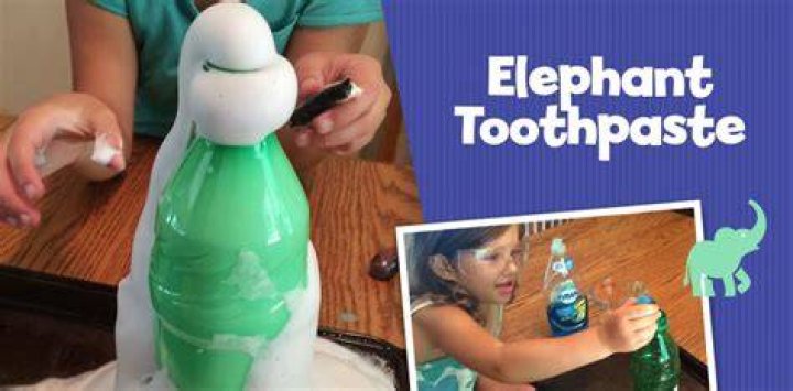 Do elephants brush their teeth with elephant toothpaste?