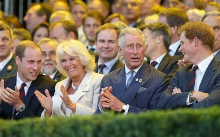 Do Harry and William get along with Camilla?