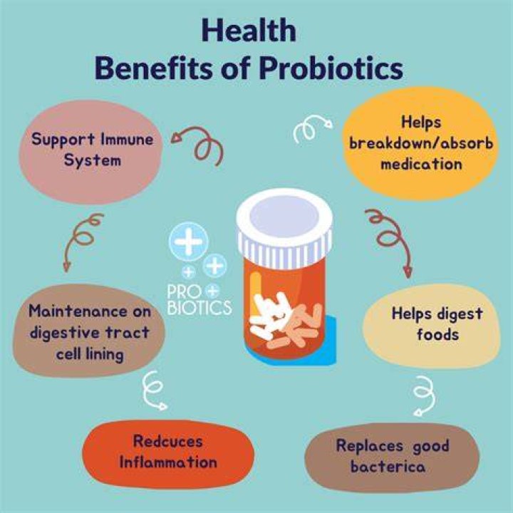 Do probiotics help memory?