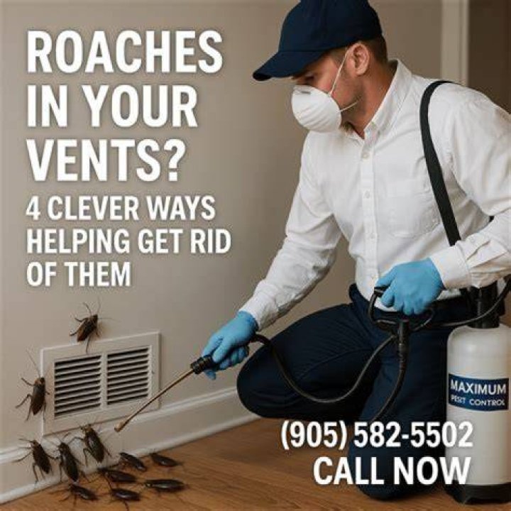 Do roaches live in vents?