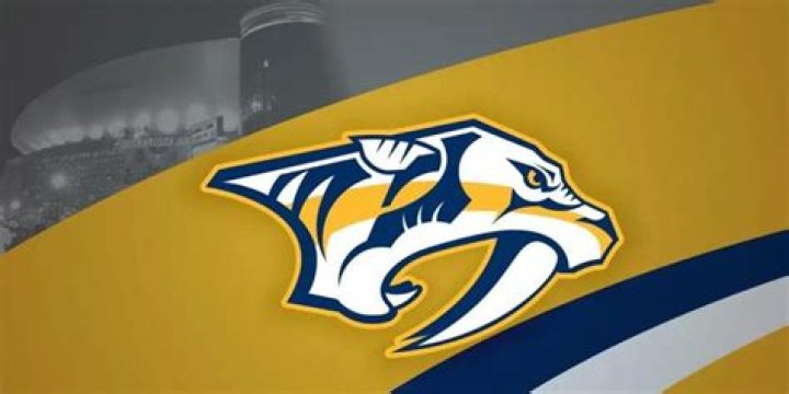 Do the Nashville Predators make money?