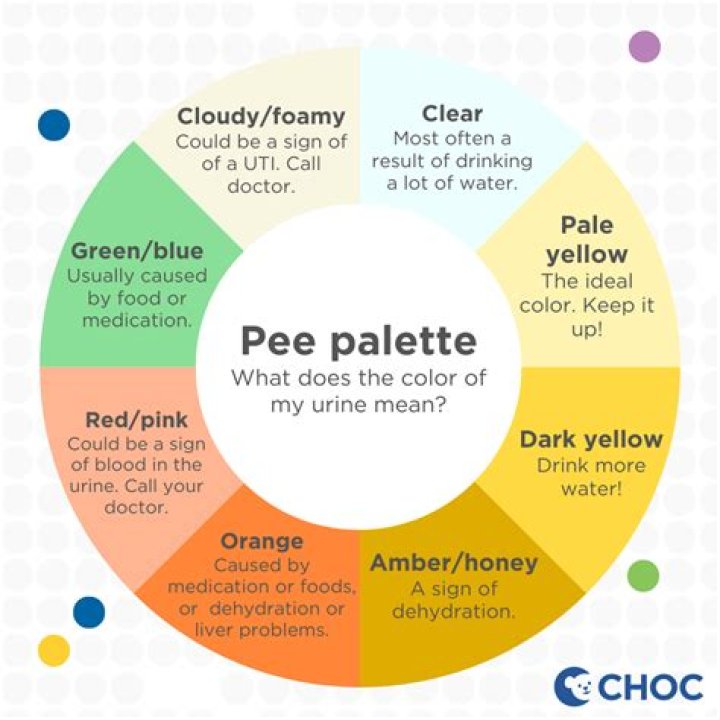 Do you still pee if you don't drink anything?