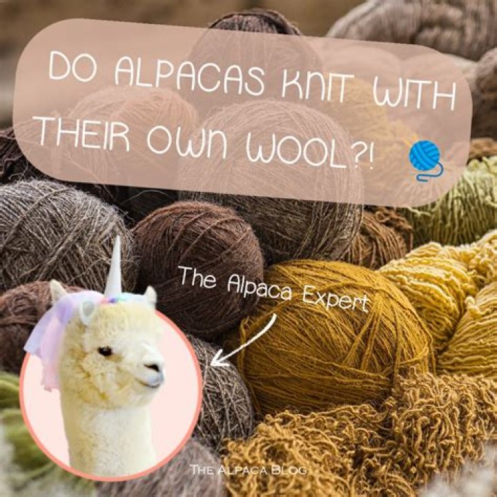 Does alpaca wool insulate when wet?