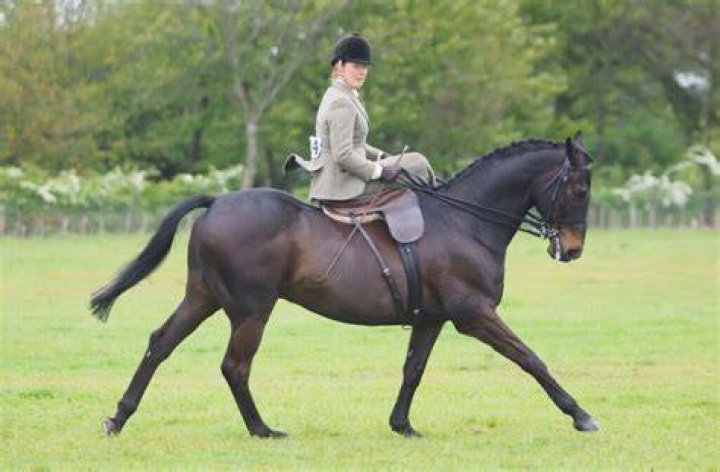 Does anyone still ride side-saddle?