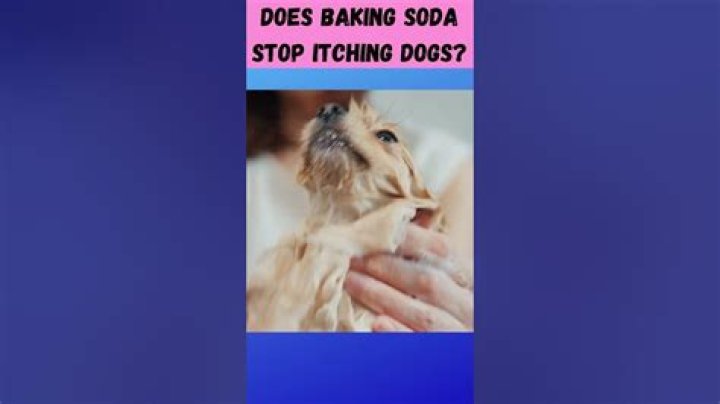 Does baking soda stop itching?