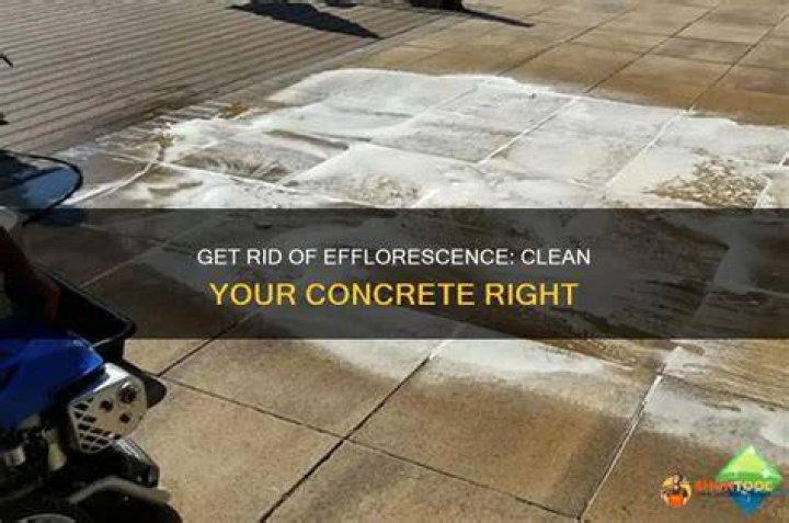 Does bleach get rid of efflorescence?