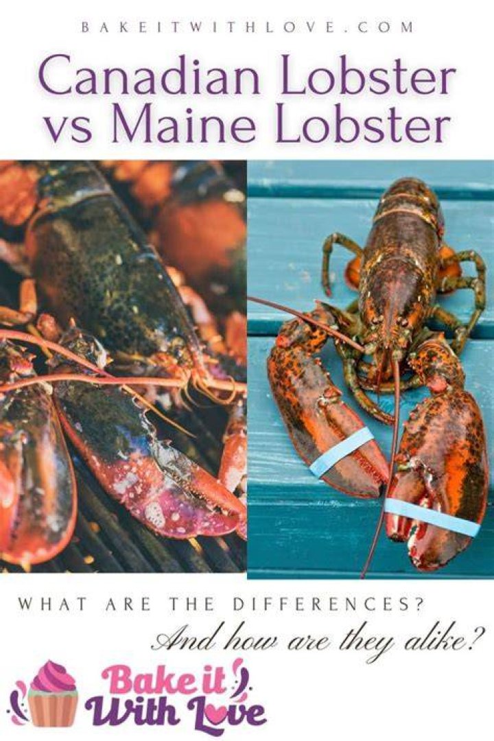 Does Canadian lobster taste like Maine lobster?