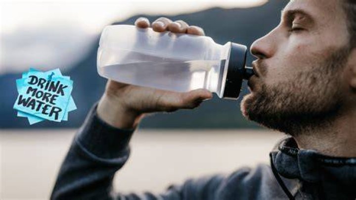 Does drinking water help you ovulate?