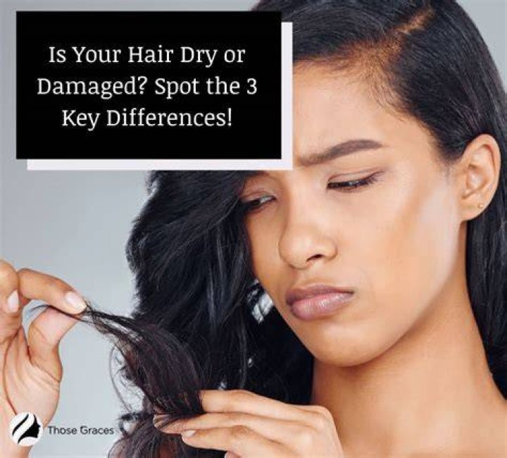 Does dry hair mean its damaged?