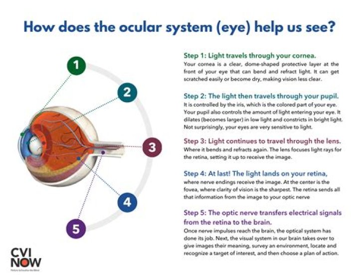Does eye vision come back?