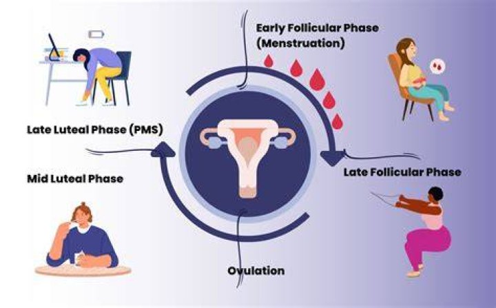 Does hot water increase menstrual flow?