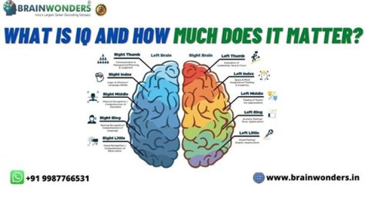 Does IQ matter in life?