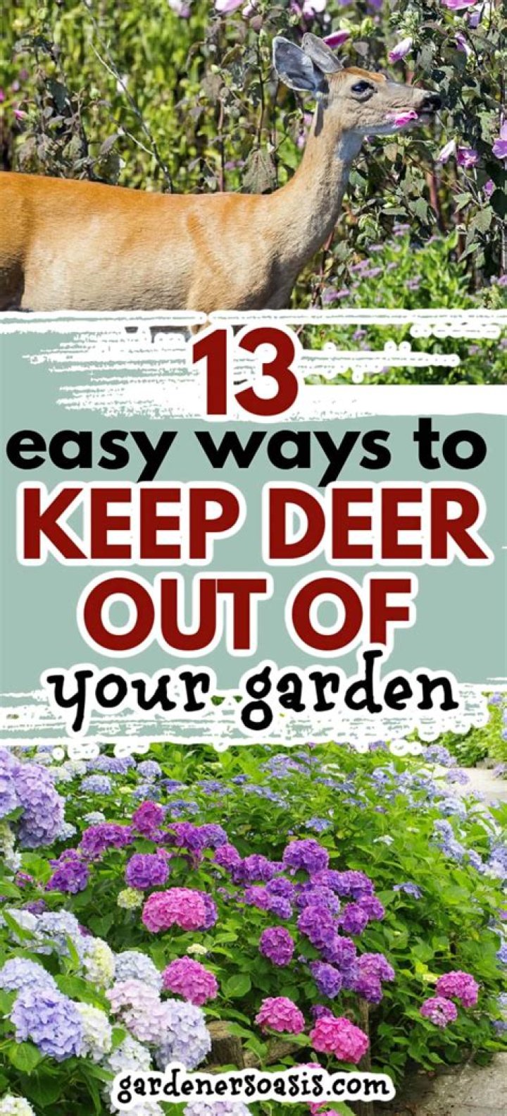Does lavender keep deer away?