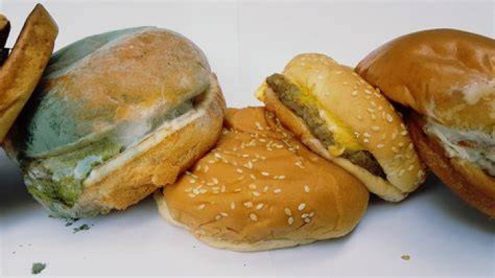 Does Mcdonalds food rot?