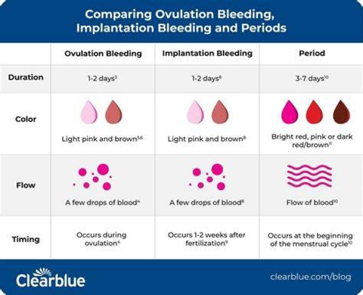 Does ovulation bleeding mean not pregnant?