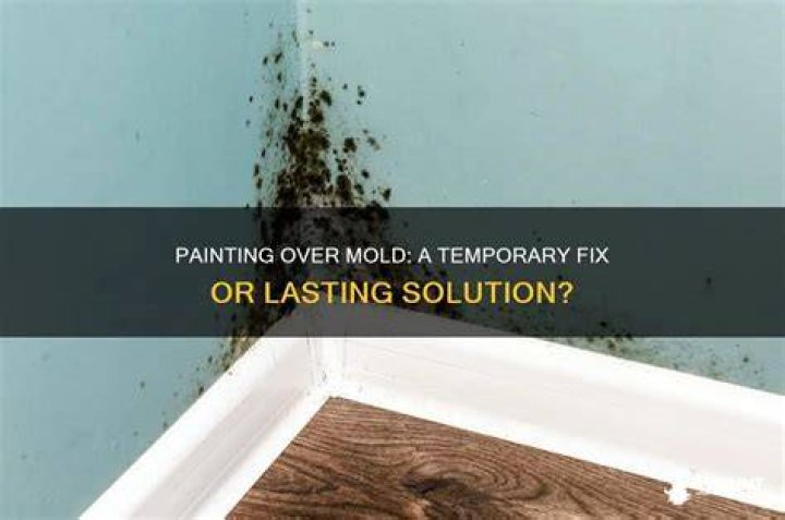 Does painting over mold solve the problem?