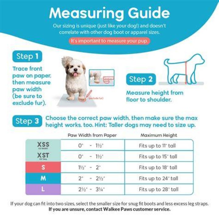 Does paw size determine dog size?