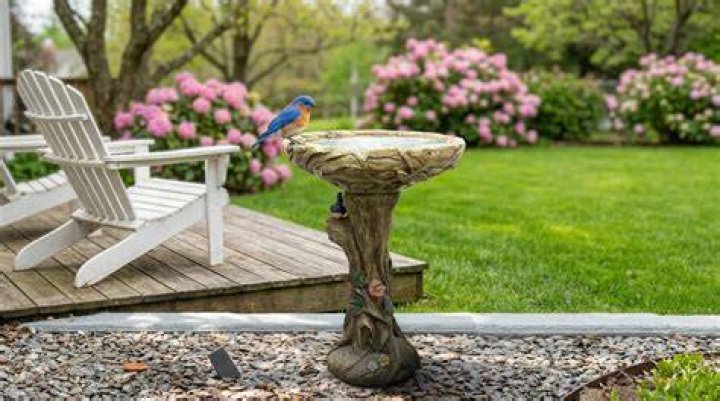 Does vinegar in fountain harm birds?