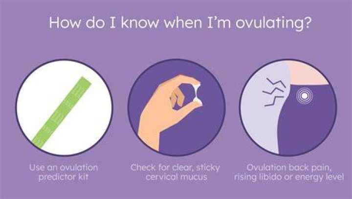 How can I bring on ovulation?