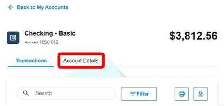 How can I find my bank account number online?