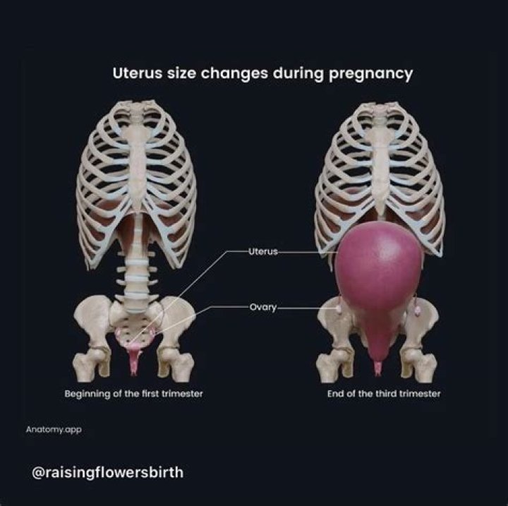 How can I tighten my uterus after birth?