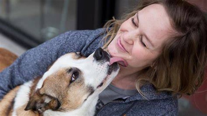 How can you tell your dog that you love them?