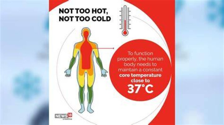 How cold is too cold for freezer?