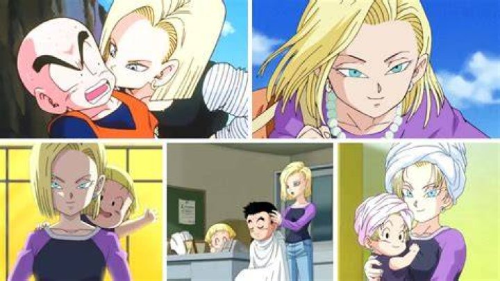 How did Android 18 have a kid?
