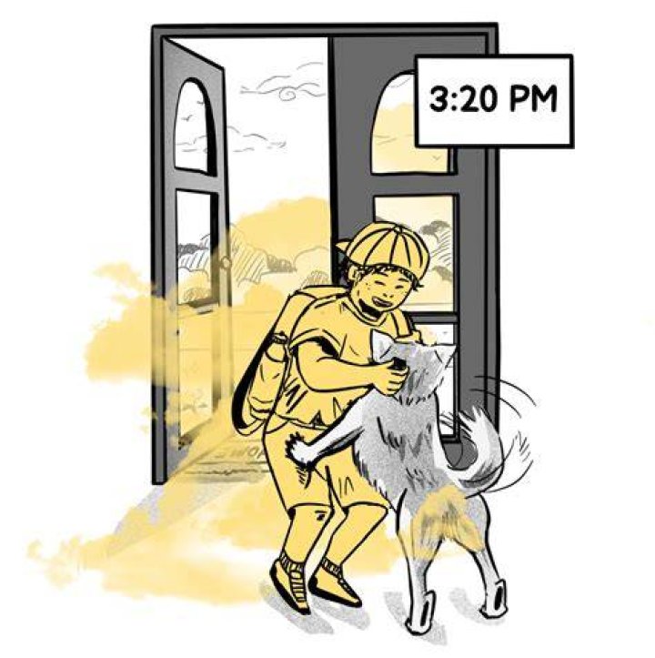 How do dogs tell time?