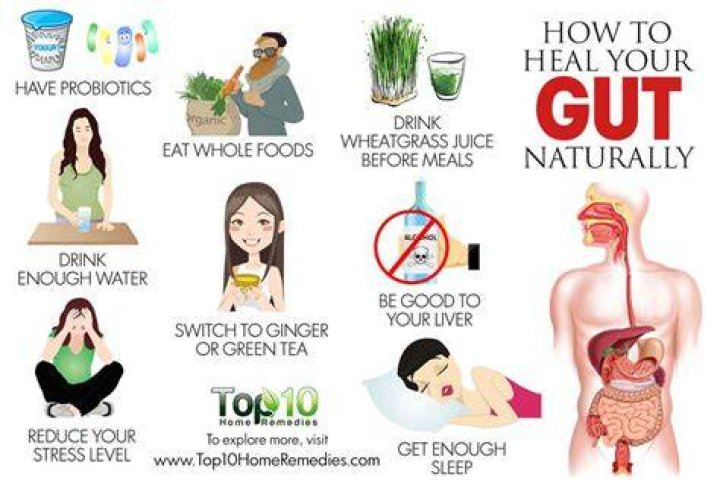 How do I heal my gut after drinking?
