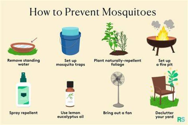 How do I keep mosquitoes off my patio naturally?