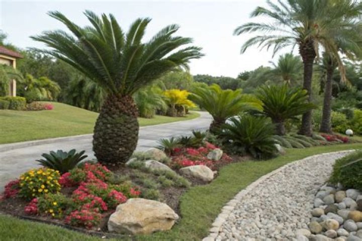 How do I keep my palm tree green?