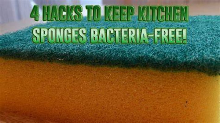 How do I keep my sponges bacteria free?