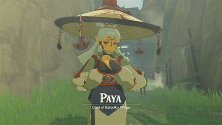How do I pay Paya to bed?