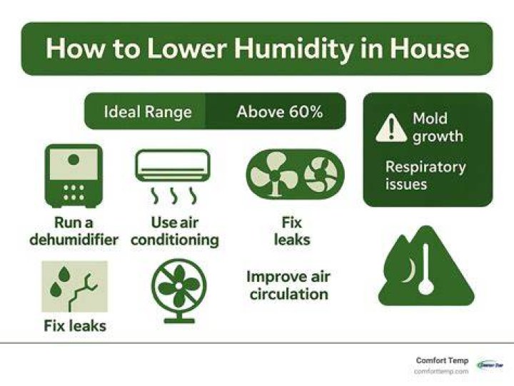How do I stop moisture in my shoes?