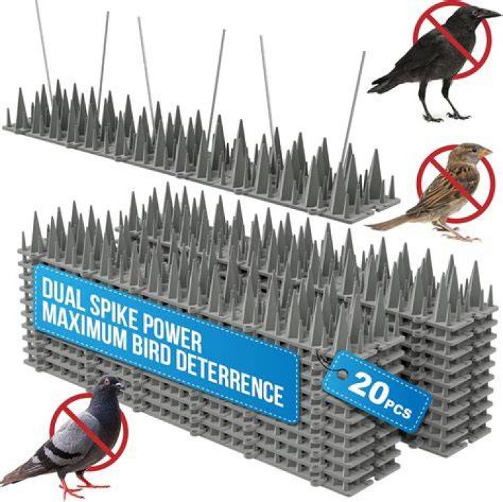 How do planes avoid birds?