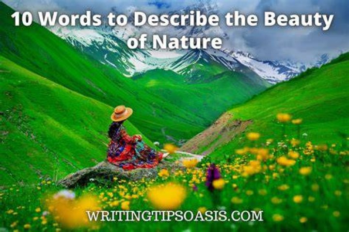 How do you caption a beautiful scenery?
