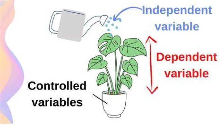 How do you control independent variables?