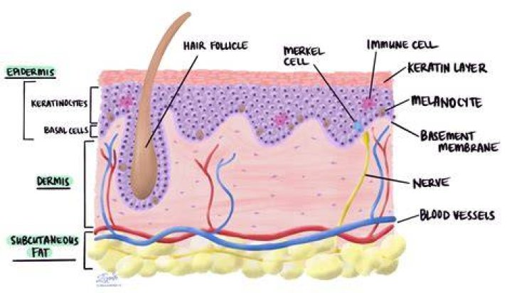 How do you describe a dermatofibroma?