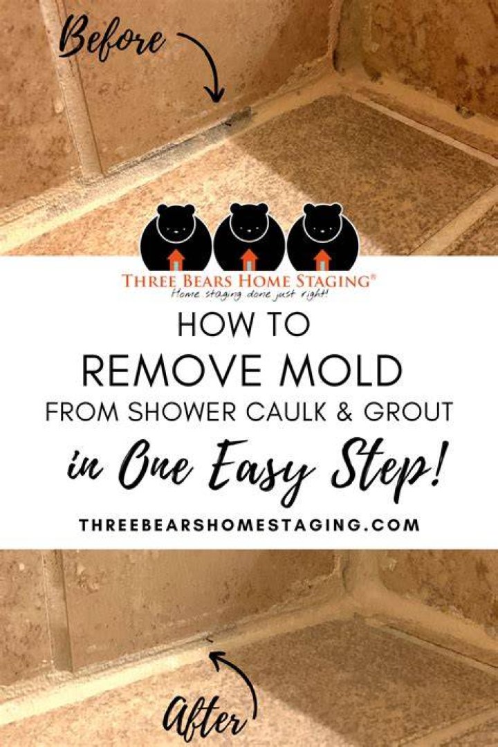 How do you get orange mold out of shower grout?