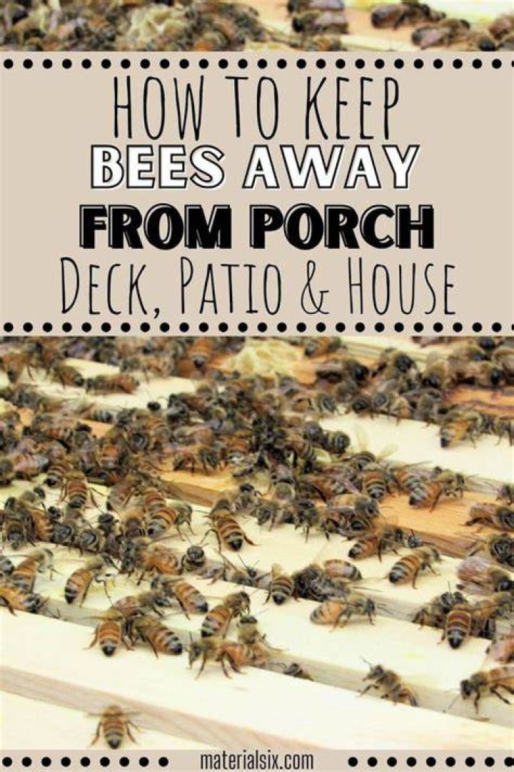 How do you get rid of bees sitting outside?