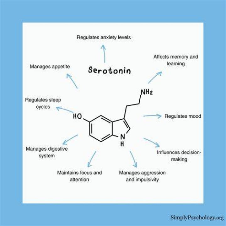 How do you get serotonin?