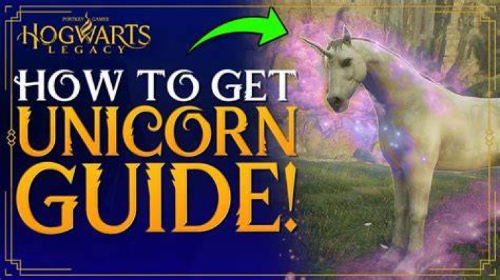 How do you get the unicorn in Skyrim?