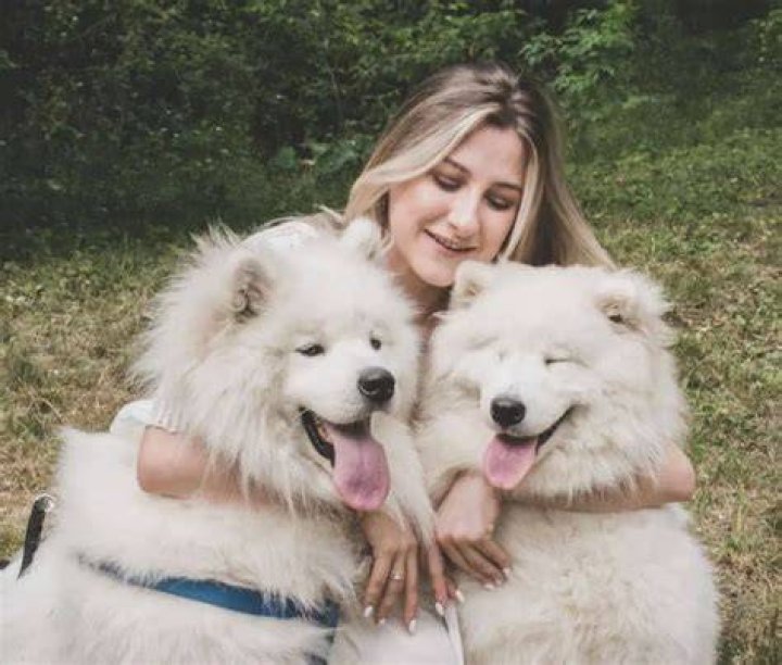How do you know if a dog trusts you?