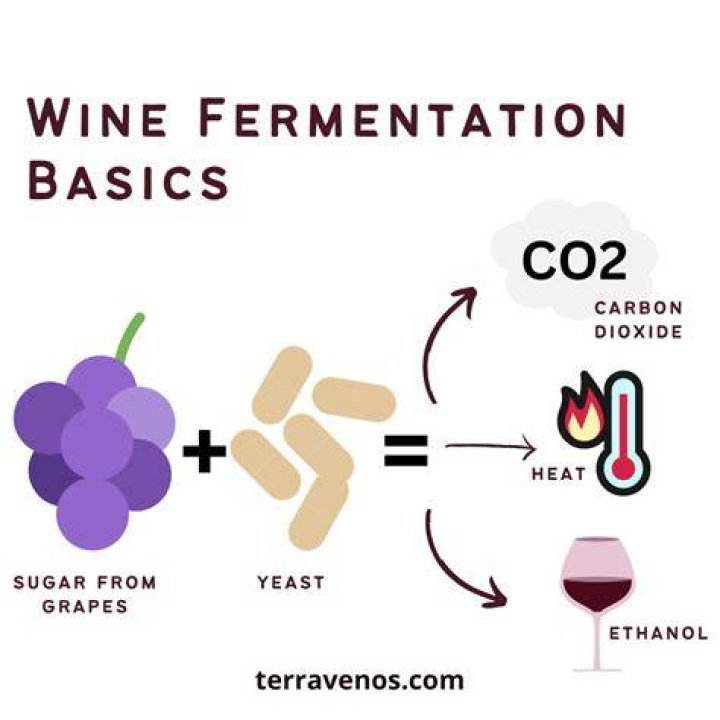 How do you know when wine fermentation is complete?
