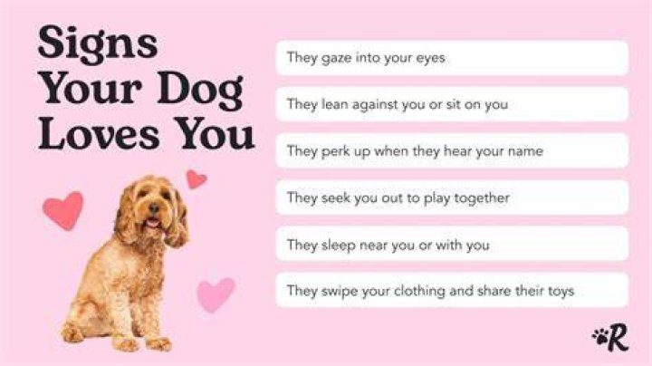 How do you know your dog has bonded with you?