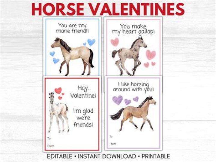 How do you make a horse love You?