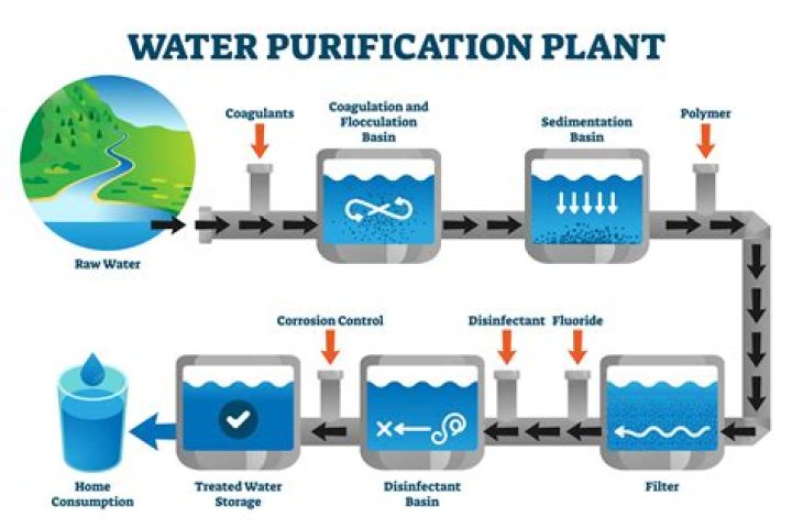How do you purify rain water yourself?